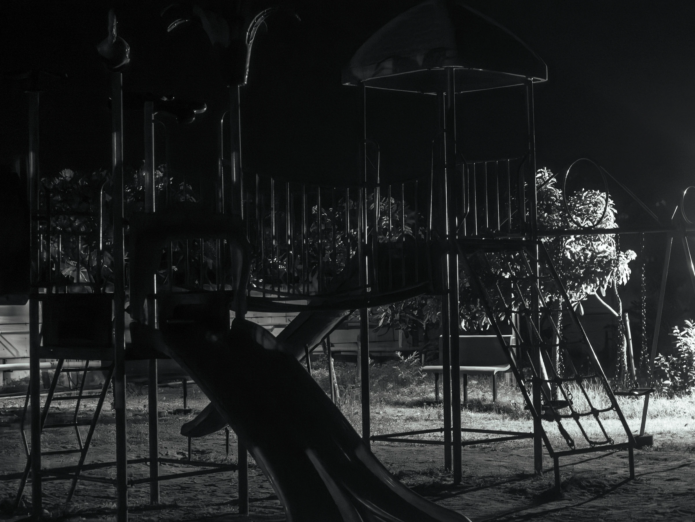 Photograph from the Night collection