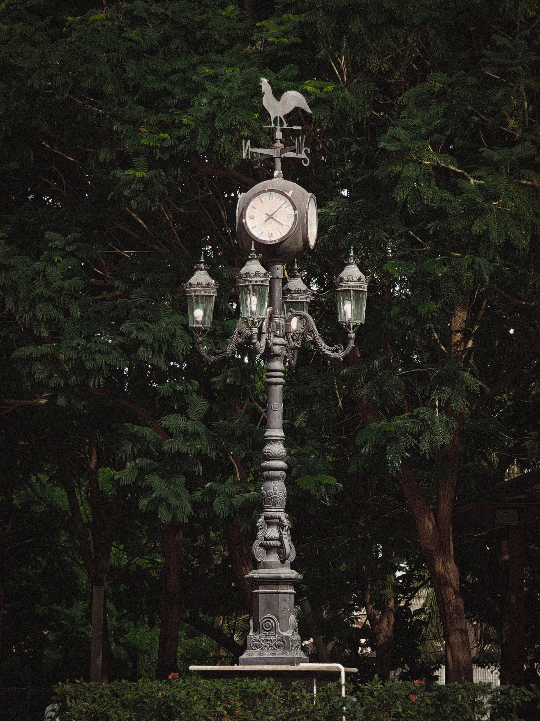 Photograph from the Aesthetic collection