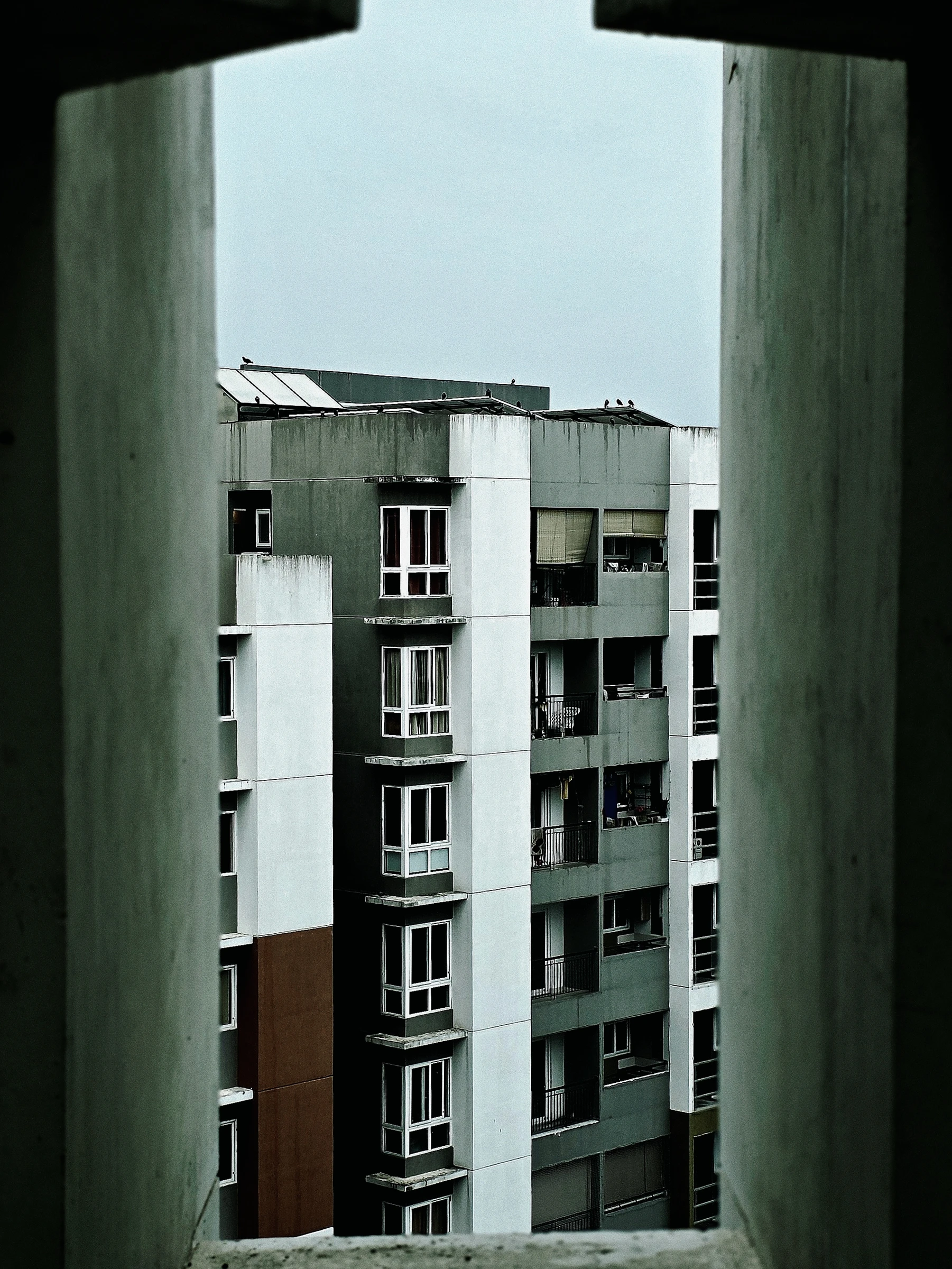 Photograph from the Architecture collection