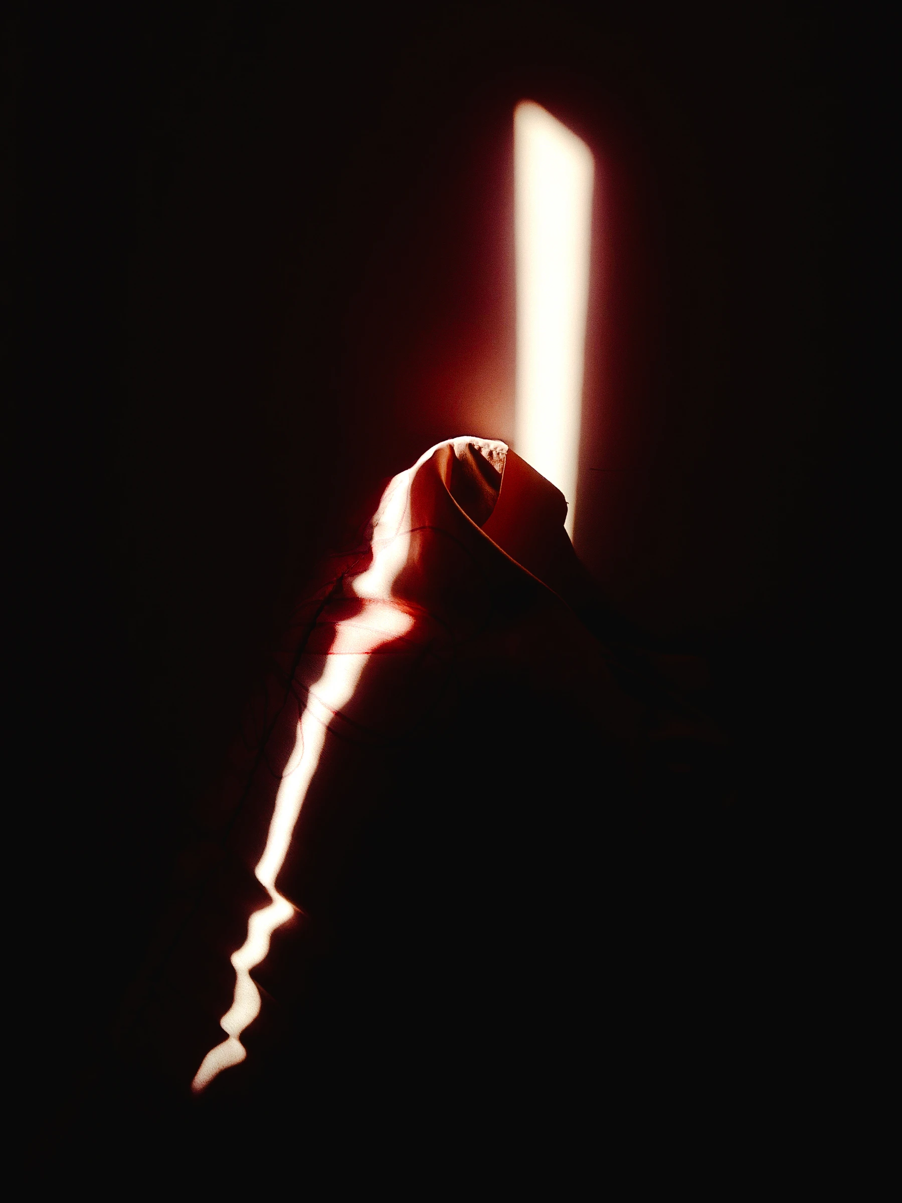 Photograph from the Aesthetic collection