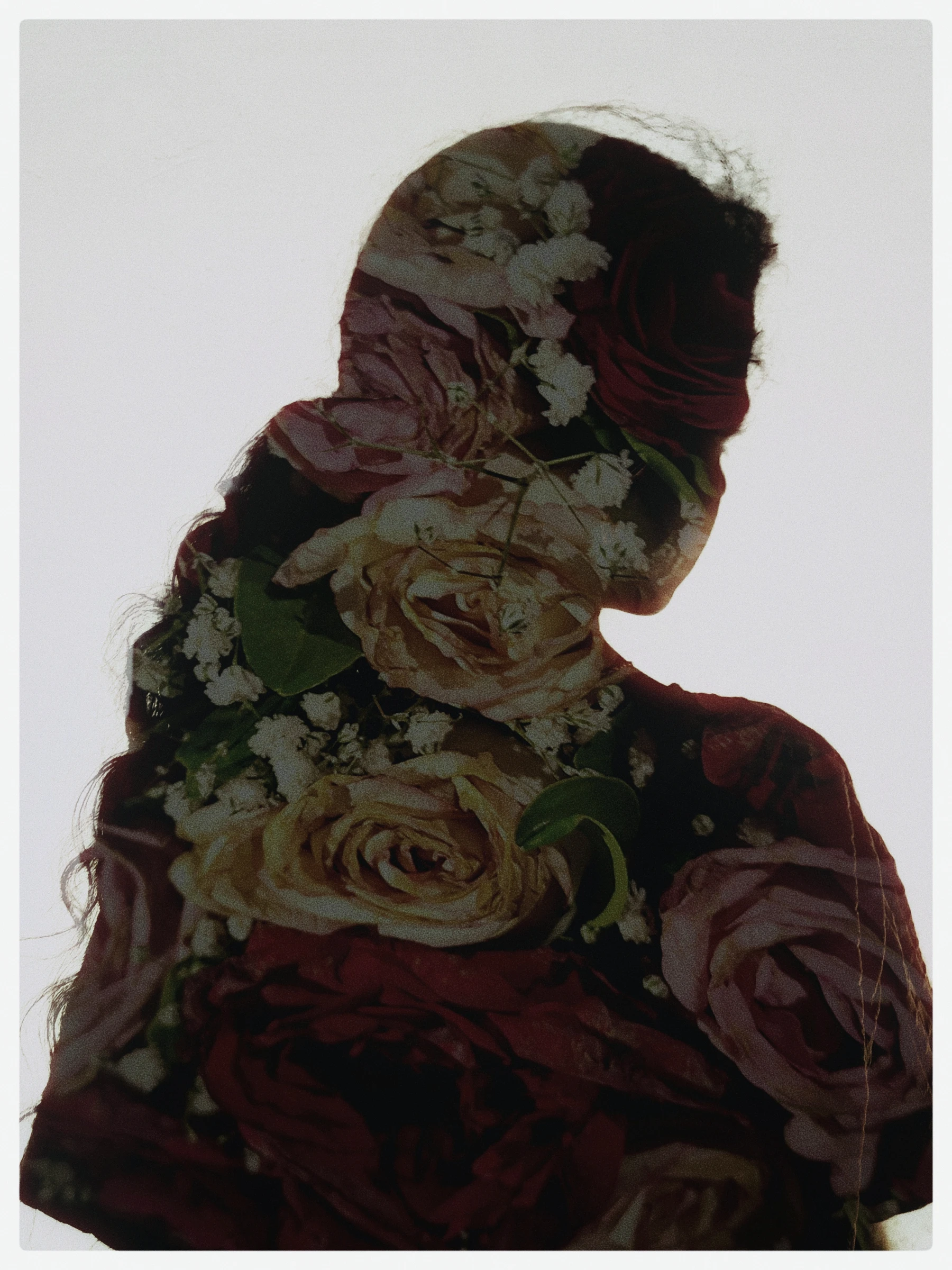 Photograph from the Aesthetic collection