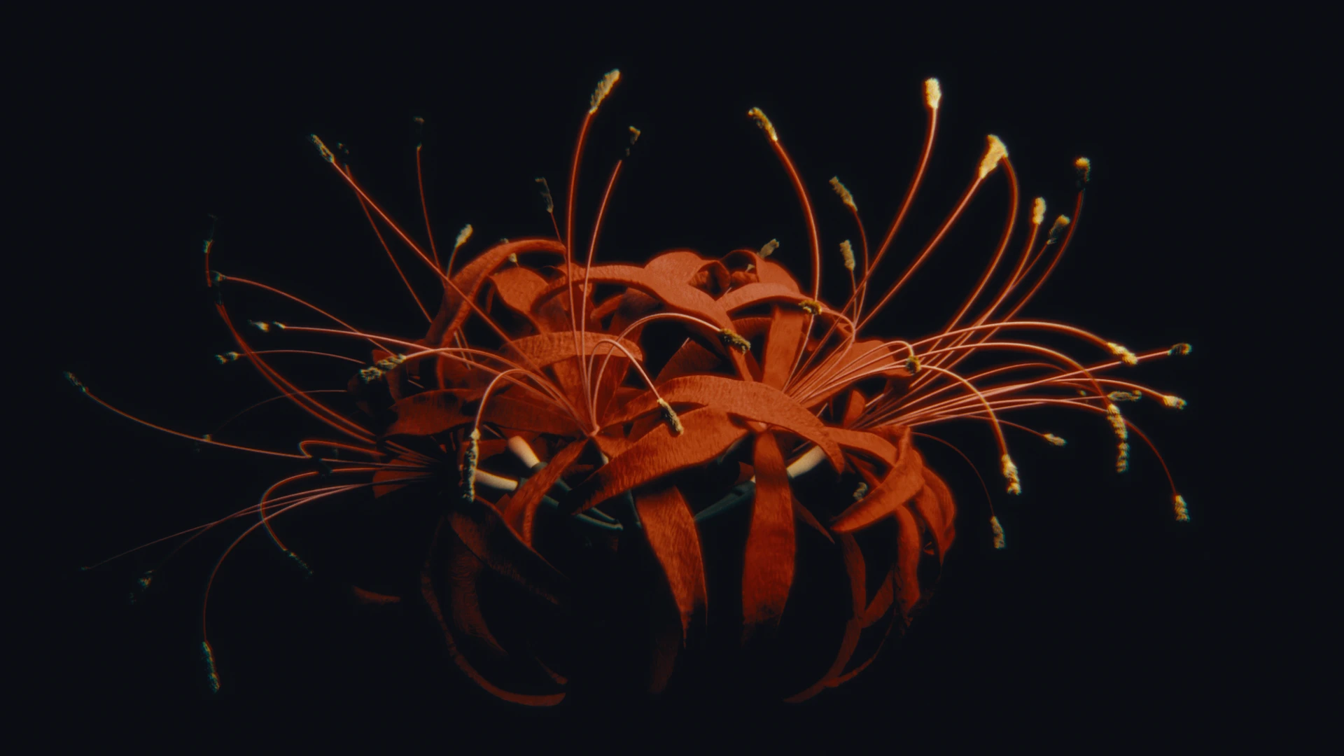 3D render from the Flowers collection