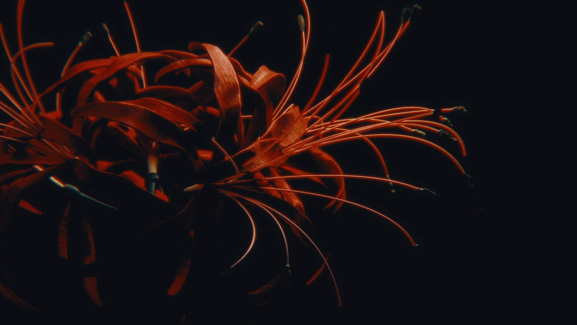 3D render from the Flowers collection