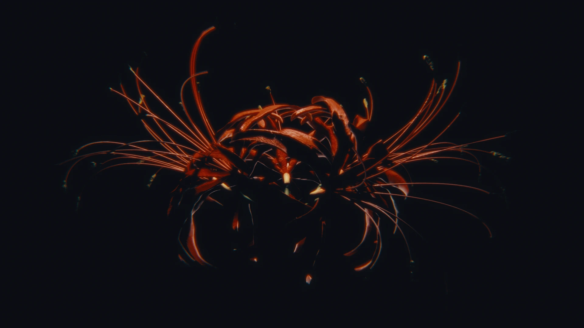 3D render from the Flowers collection
